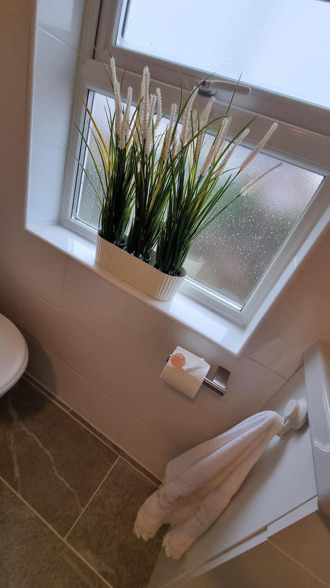 City Of Chester Award Winning Cottage -Pixie Terrace تشيستر المظهر الخارجي الصورة